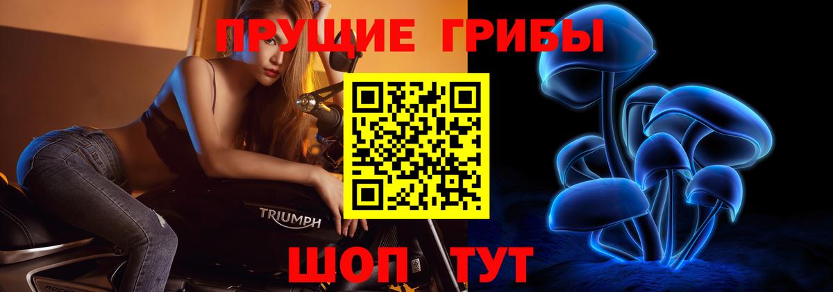 Галлюциногенные грибы ЛСД Фролово